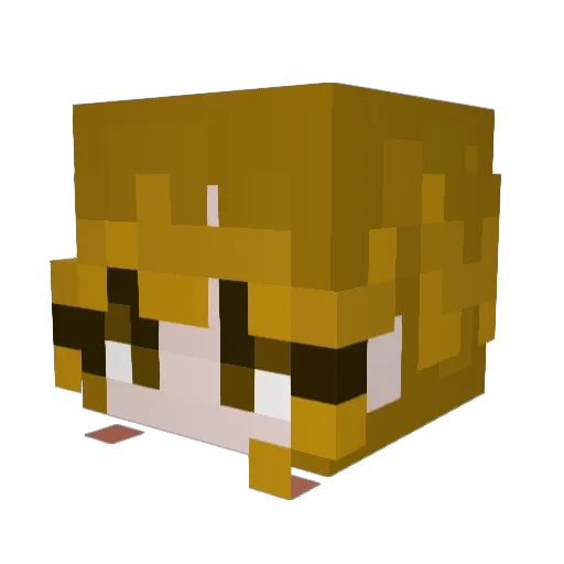 Faryp Minecraft avatar head, 3D render