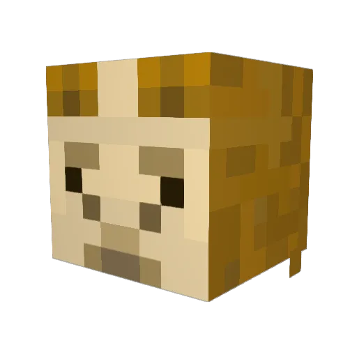 Farzman123 Minecraft avatar head, 3D render