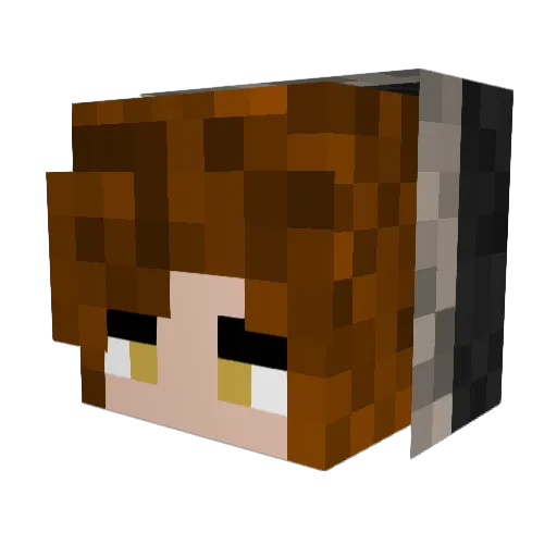 FasTinG8 Minecraft avatar head, 3D render