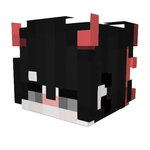 Fascist_ Minecraft avatar head, 3D render
