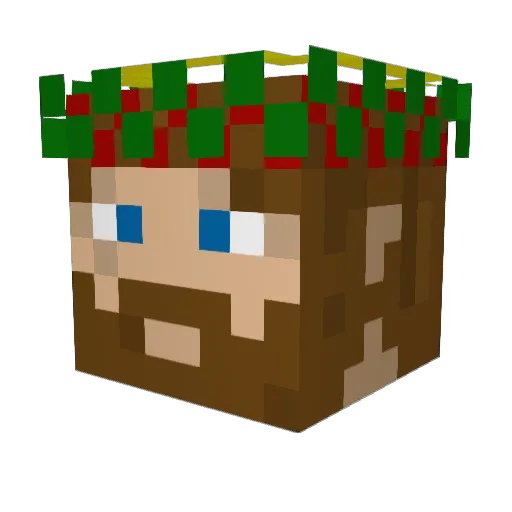 Fasehome Minecraft avatar head, 3D render