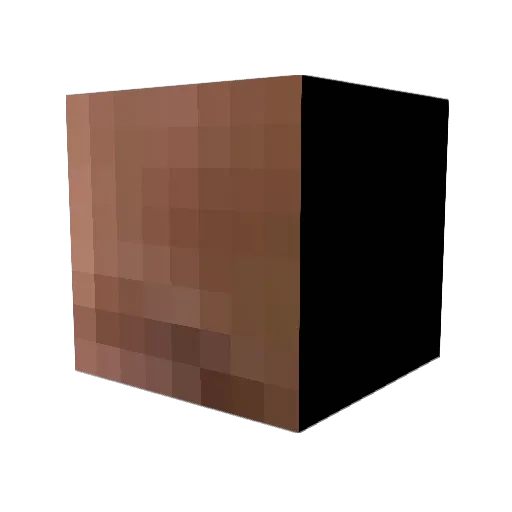 FashionTiger Minecraft avatar head, 3D render
