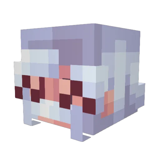 Fashion_Nugget Minecraft avatar head, 3D render