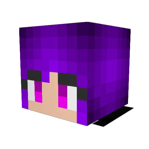 Fashion__Girl Minecraft avatar head, 3D render