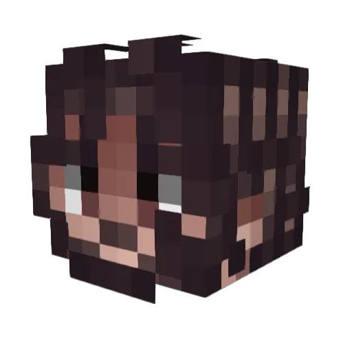 FastBeast____ Minecraft avatar head, 3D render