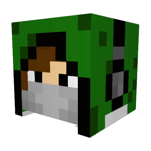 FastRacer1234 Minecraft avatar head, 3D render
