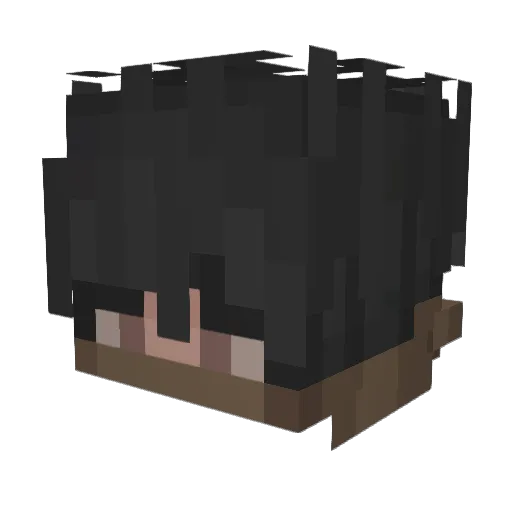 FastSchonLaue Minecraft avatar head, 3D render