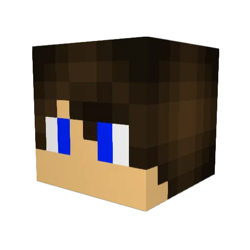 FastStar2 Minecraft avatar head, 3D render