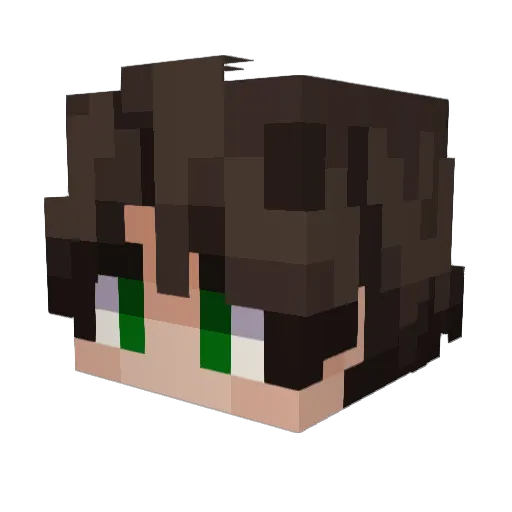 FastTomTom12 Minecraft avatar head, 3D render