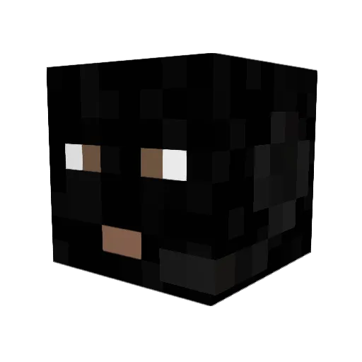 FastZoomer Minecraft avatar head, 3D render