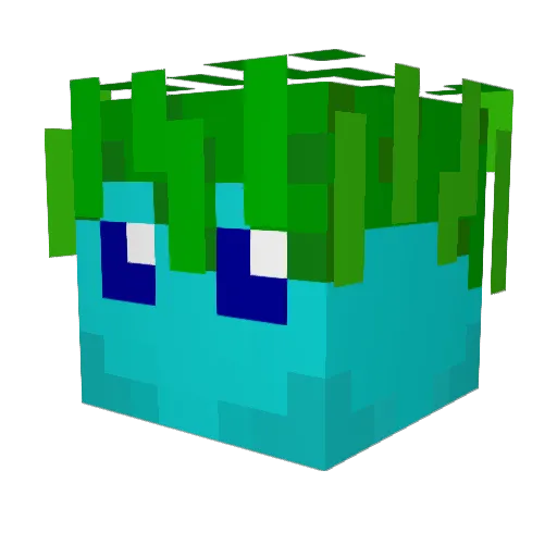 Fastboy0989 Minecraft avatar head, 3D render
