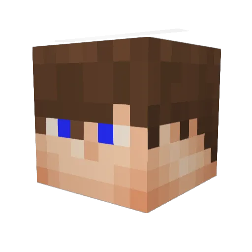 FasterGame_ Minecraft avatar head, 3D render