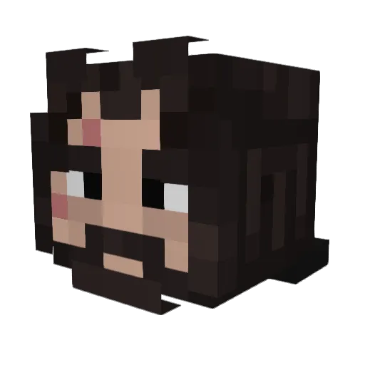 FasterHands Minecraft avatar head, 3D render