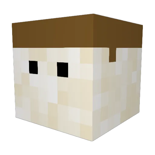 FasterStew28635 Minecraft avatar head, 3D render