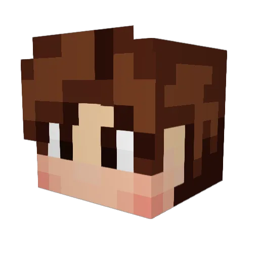 Fasterprism Minecraft avatar head, 3D render