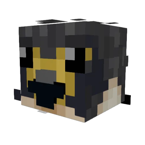 FastestFalcon Minecraft avatar head, 3D render