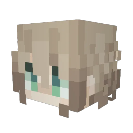 Faststryyyker Minecraft avatar head, 3D render