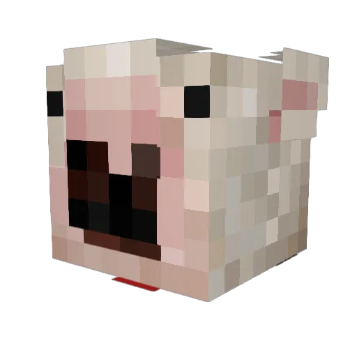 Fasu_pala Minecraft avatar head, 3D render