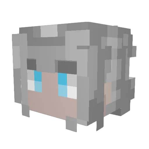 Faszah Minecraft avatar head, 3D render