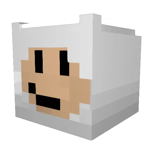 FatBiscuit99 Minecraft avatar head, 3D render