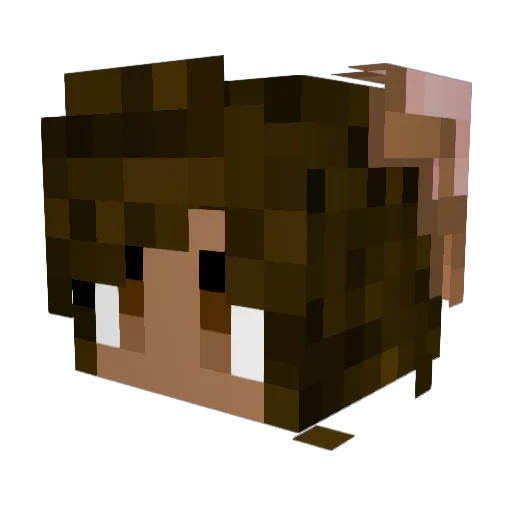 FatBunny333 Minecraft avatar head, 3D render