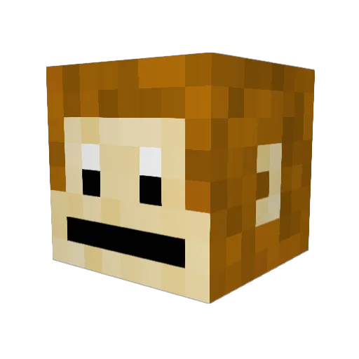 FatChimp2863 Minecraft avatar head, 3D render