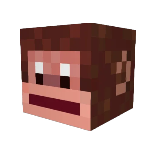 FatChimp91 Minecraft avatar head, 3D render