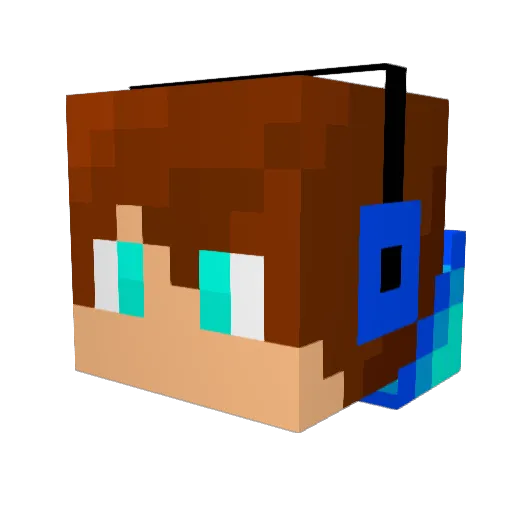 FatFerret511 Minecraft avatar head, 3D render