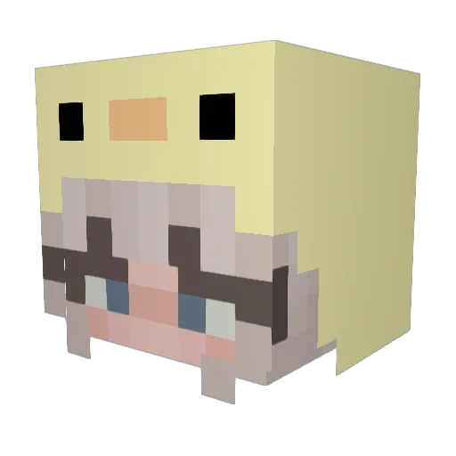 FatFluffyPony Minecraft avatar head, 3D render