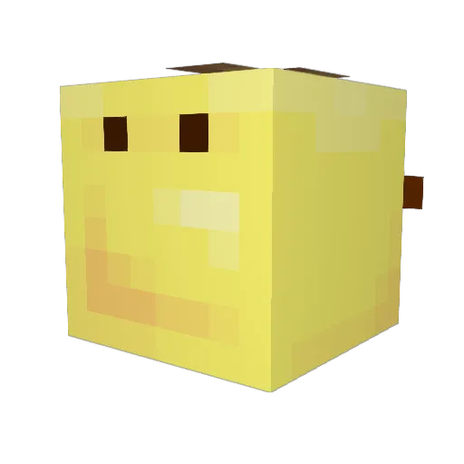 FatMokes Minecraft avatar head, 3D render