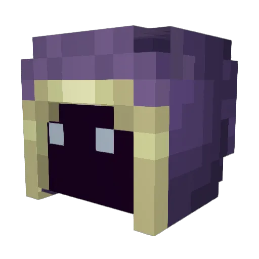 FatStinkinRat28 Minecraft avatar head, 3D render