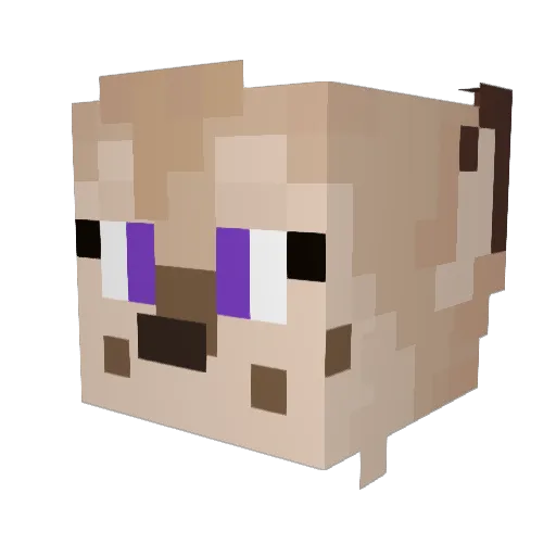 FatTailedLoser Minecraft avatar head, 3D render