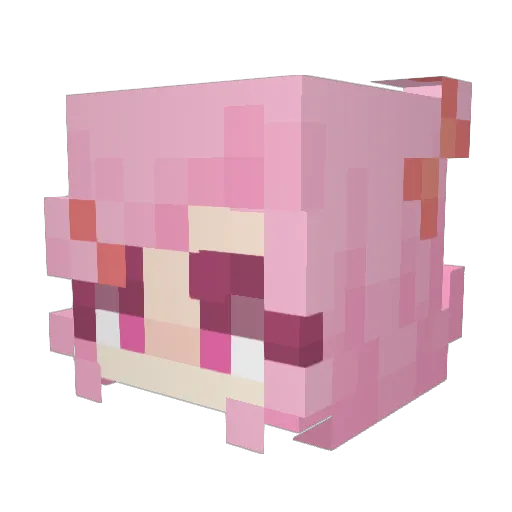 FatTum Minecraft avatar head, 3D render