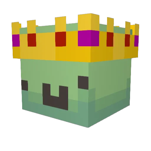 FatTurtleBoi Minecraft avatar head, 3D render