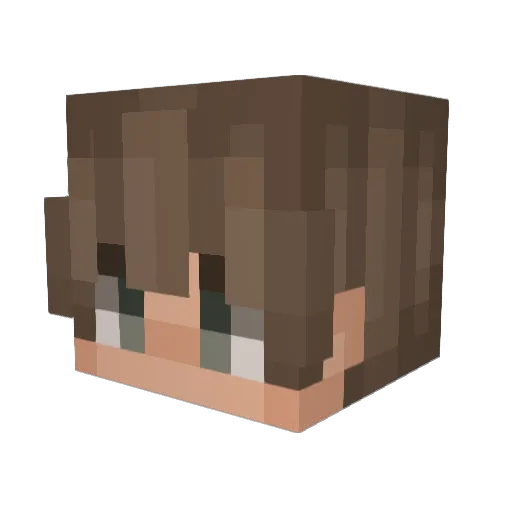 FatU_poo_poo Minecraft avatar head, 3D render