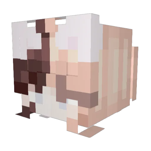 FatWishesAddict Minecraft avatar head, 3D render