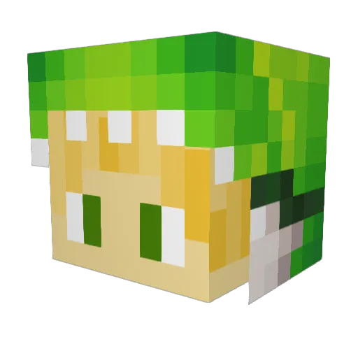 FatYoshi24 Minecraft avatar head, 3D render