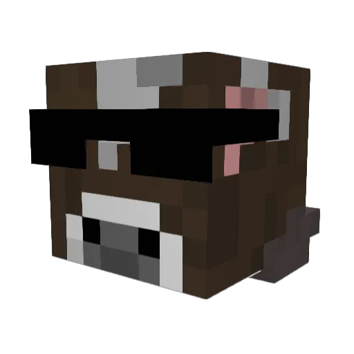 Fat_Bean Minecraft avatar head, 3D render