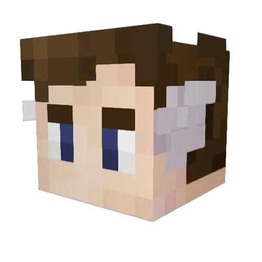 Fat_Bich Minecraft avatar head, 3D render