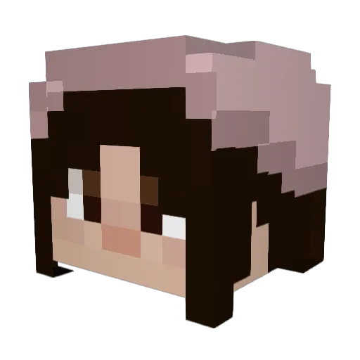 Fat_DebraYT Minecraft avatar head, 3D render
