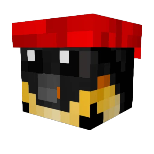 Fat_Penguin345 Minecraft avatar head, 3D render