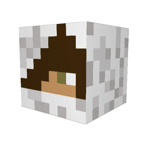 Fat_Rob Minecraft avatar head, 3D render