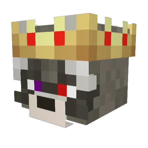 Fat_Trash_Panda Minecraft avatar head, 3D render