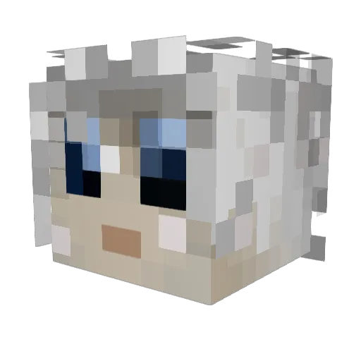 Fatal5ystemError Minecraft avatar head, 3D render