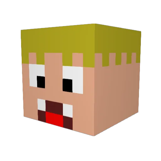 FatalBurrito438 Minecraft avatar head, 3D render