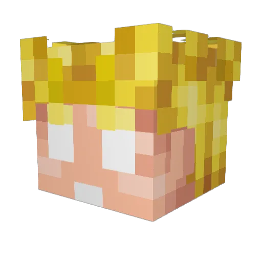 FatalException01 Minecraft avatar head, 3D render