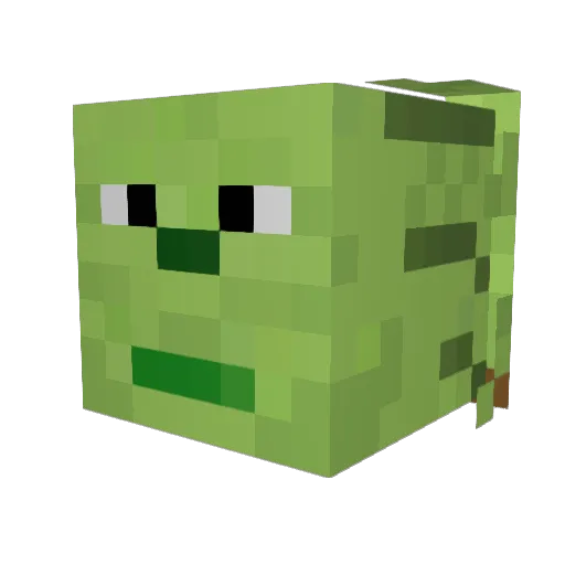 FatalRetr000 Minecraft avatar head, 3D render