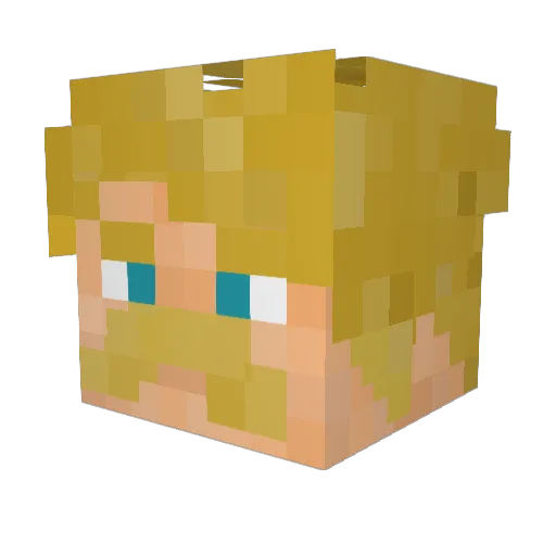 FatalSun_Yt Minecraft avatar head, 3D render