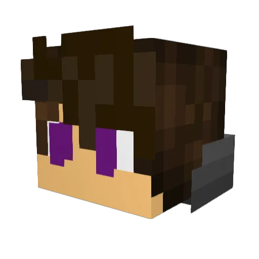 Fatality906 Minecraft avatar head, 3D render