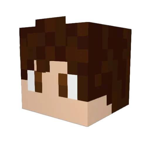 Fatch41 Minecraft avatar head, 3D render